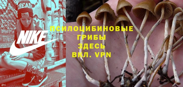 mdpv Кулебаки