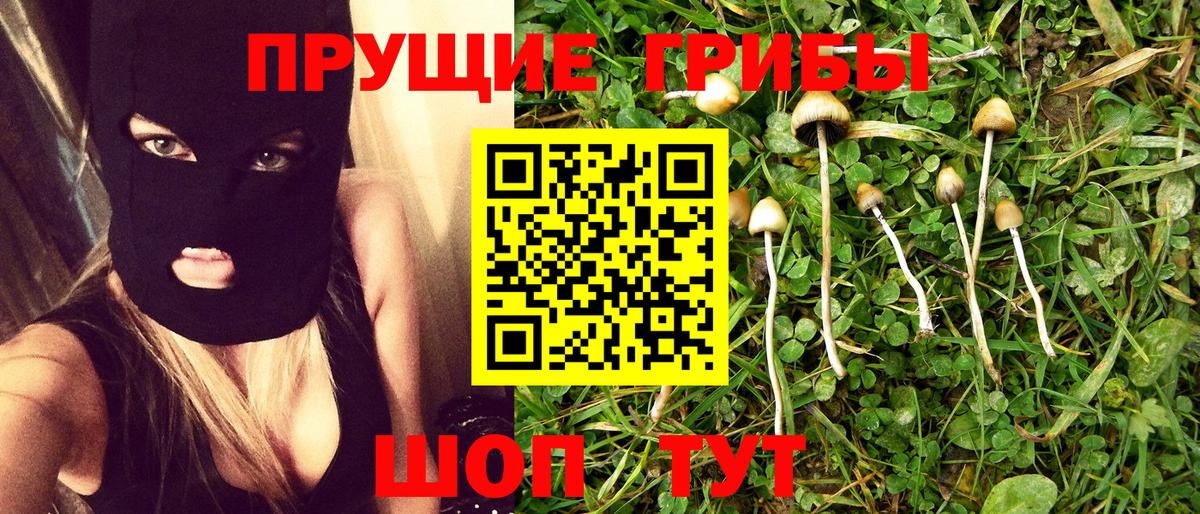 Псилоцибиновые грибы GOLDEN TEACHER Лангепас