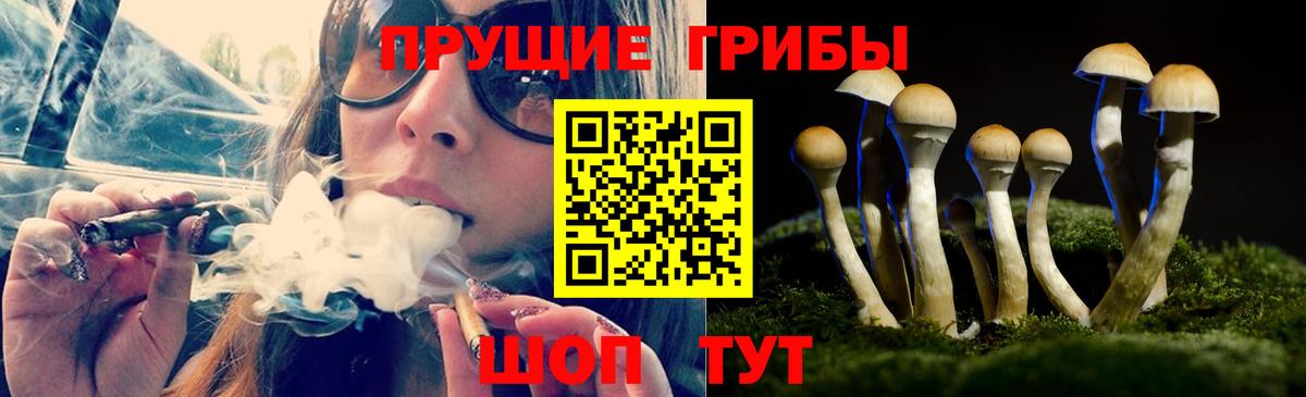 Псилоцибиновые грибы ЛСД  Псилоцибиновые грибы GOLDEN TEACHER  купить   Вход с VPN  Лангепас 